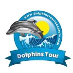best dolphin tour in lanzarote