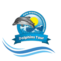 dolphin tours logo lanzarote